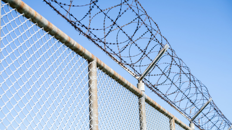 prison security fence
