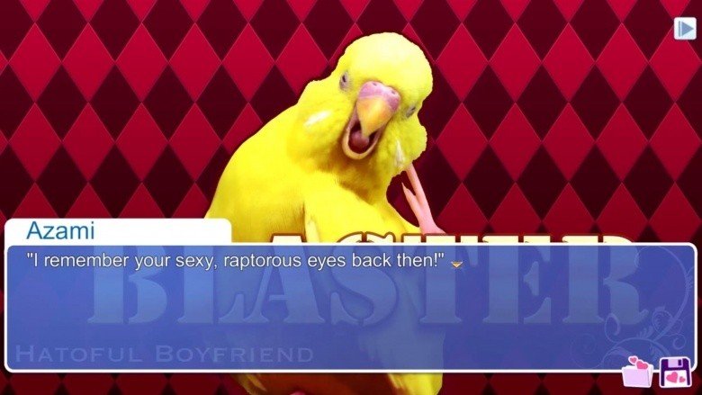 Hatoful Boyfriend