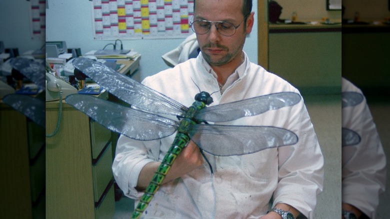 Scientist in white lab coat holding model of giant Meganeuropsis permiana griffinfly