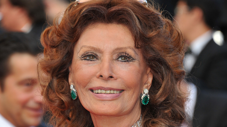 Sophia Loren 