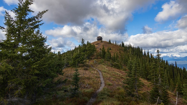 Glacier National Park's Huckleberry Lookout