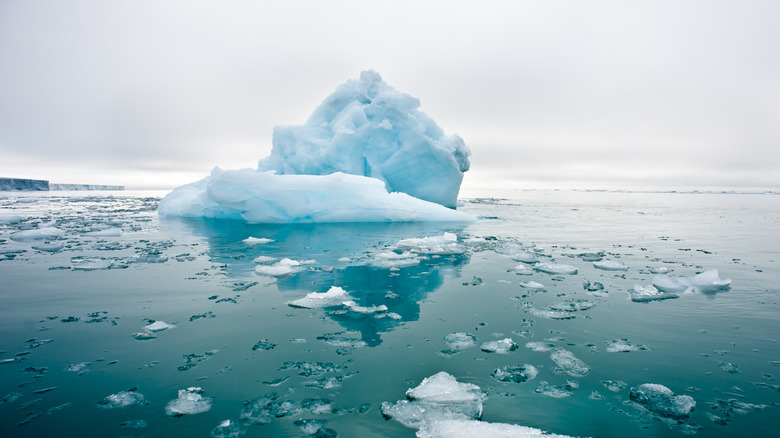 Melting sea ice