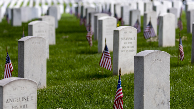 Arlington National Cemetary