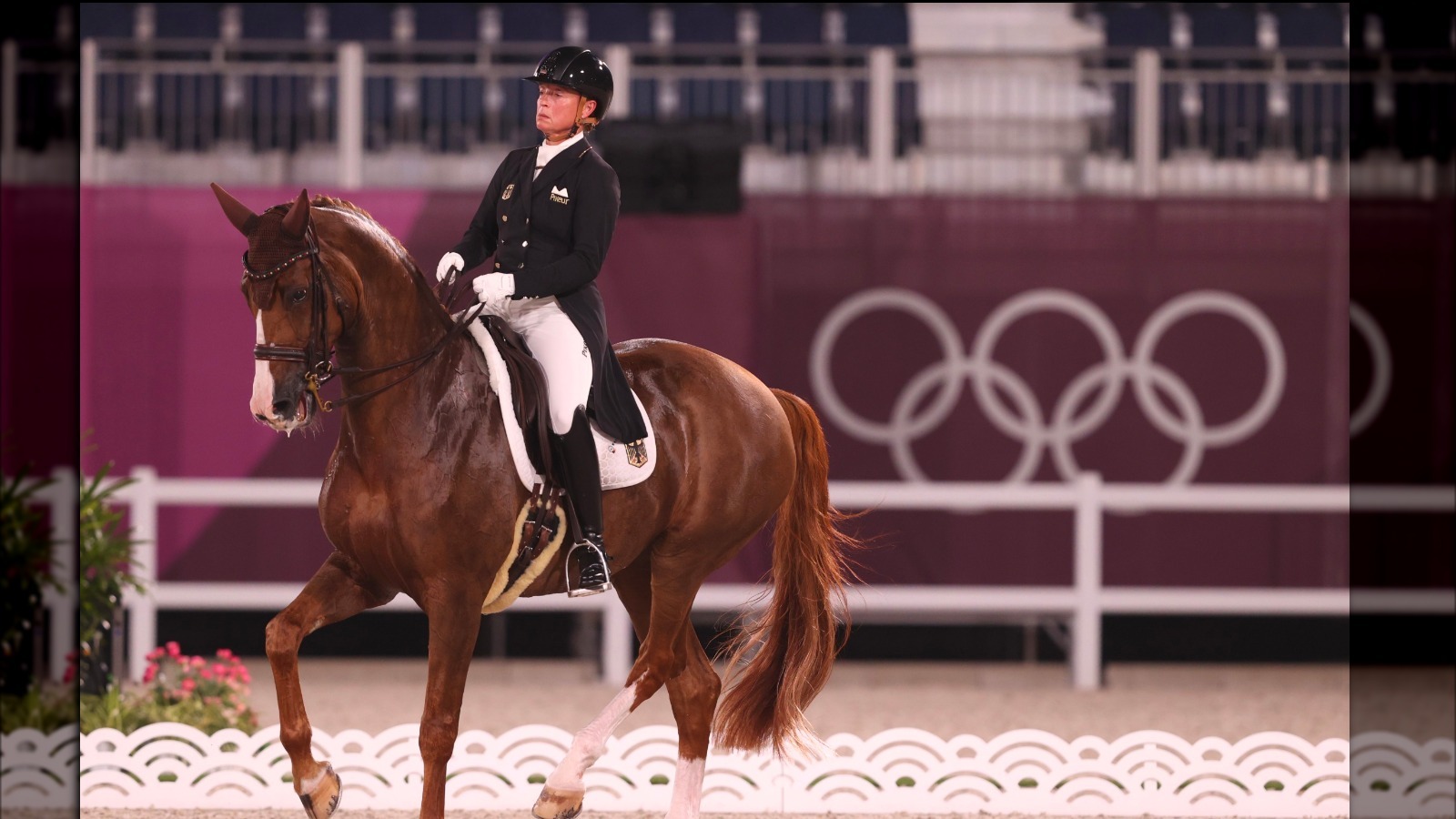 Here's How Equestrian Horses Really Get To The Olympics