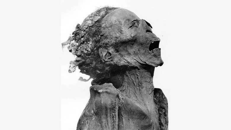 The Screaming Mummy, or Prince Pentawere 