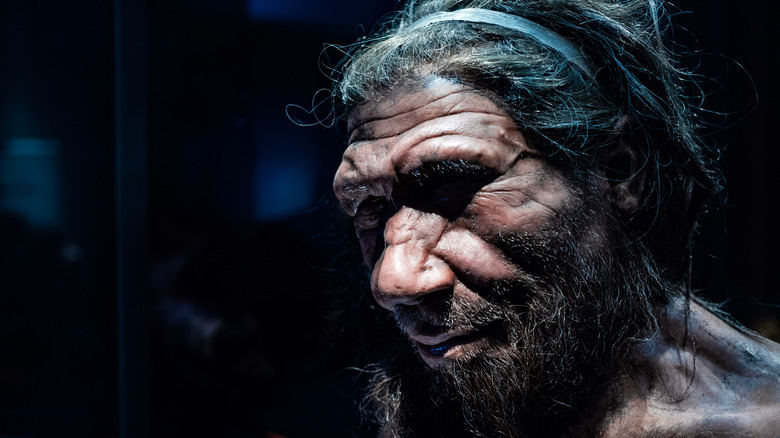 Neanderthal man recreation