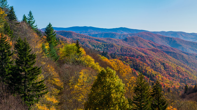 Great Smoky Mountains