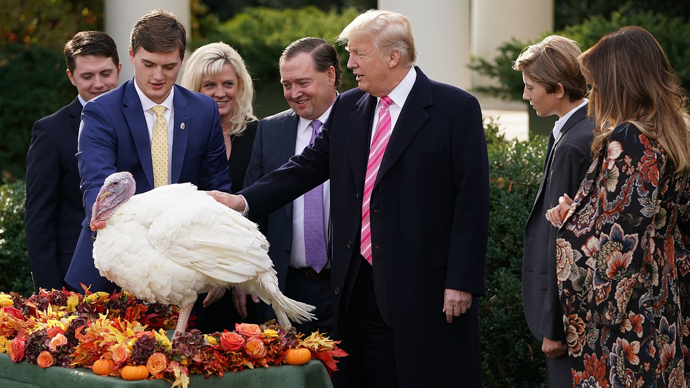 Donald Trump pardoning a Thanksgiving turkey