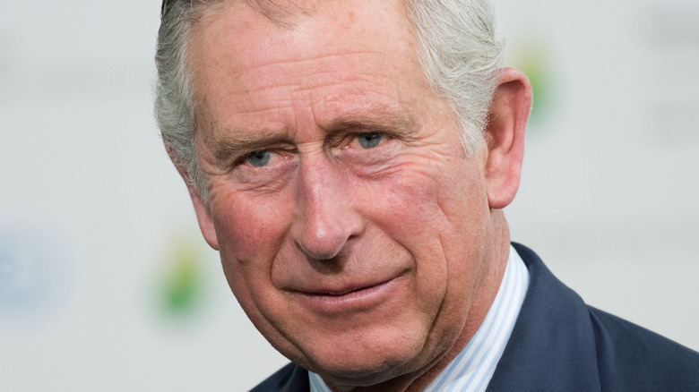 prince charles in 2015