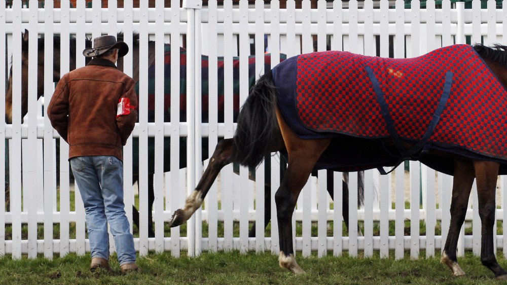horse w/friend