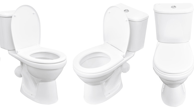 Modern Toilet 