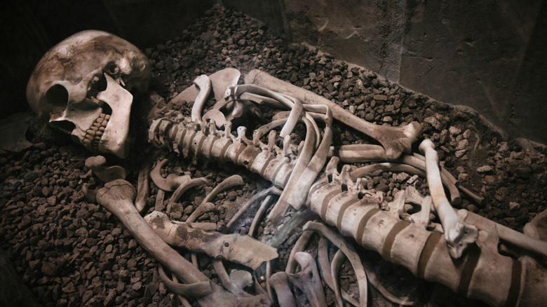 Human skeleton in a grave