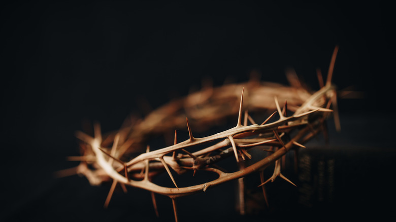 A crown of thorns