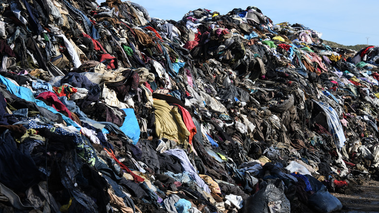 Clothes in a Spanish landfill