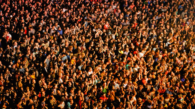 crowd at a concert