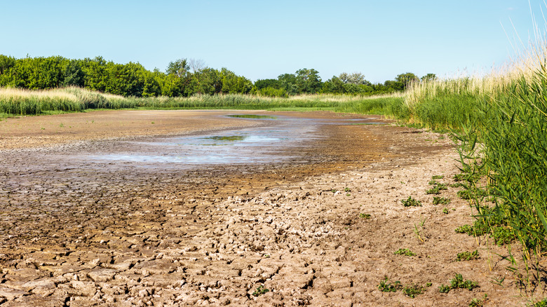 A dry riverbed.