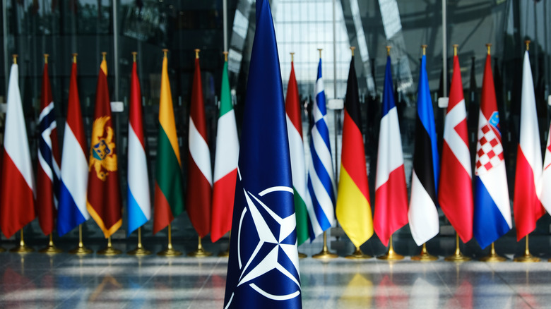 NATO flag