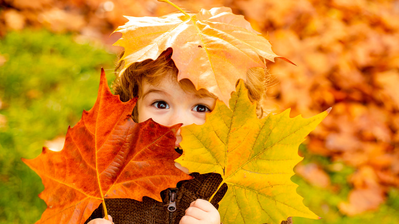child in colored leaves
