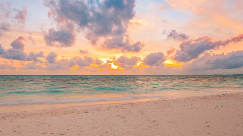 beach at sunset