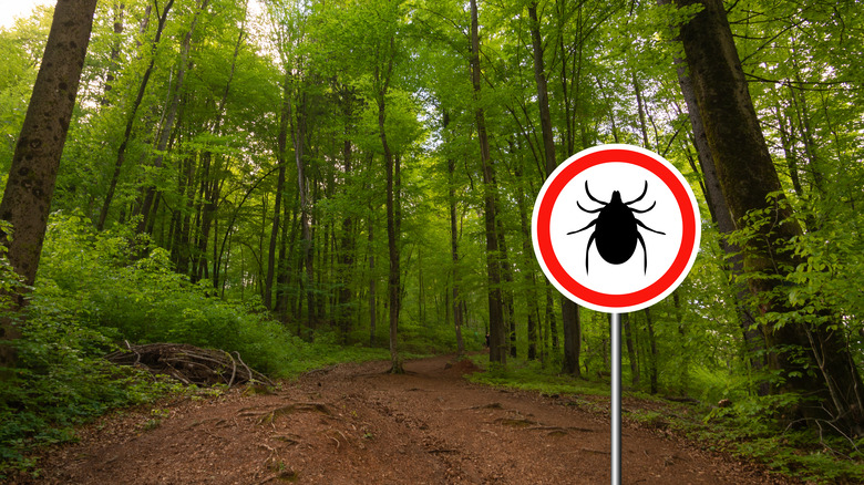 ticks sign on hiking trail