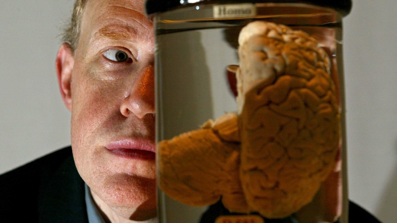 Babbage's brain in a jar