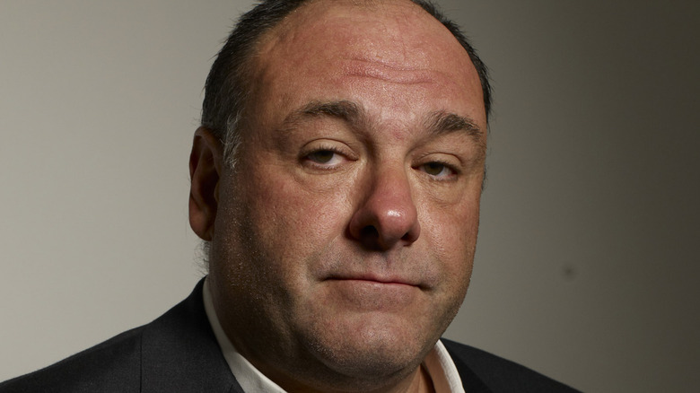 James Gandolfini 