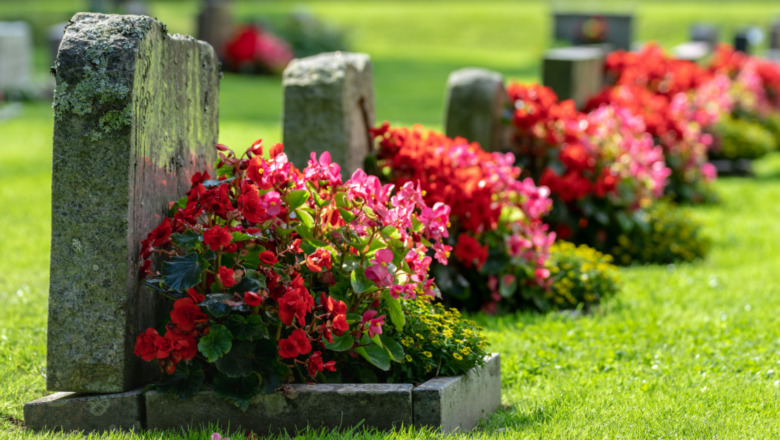 Cemetery flowers