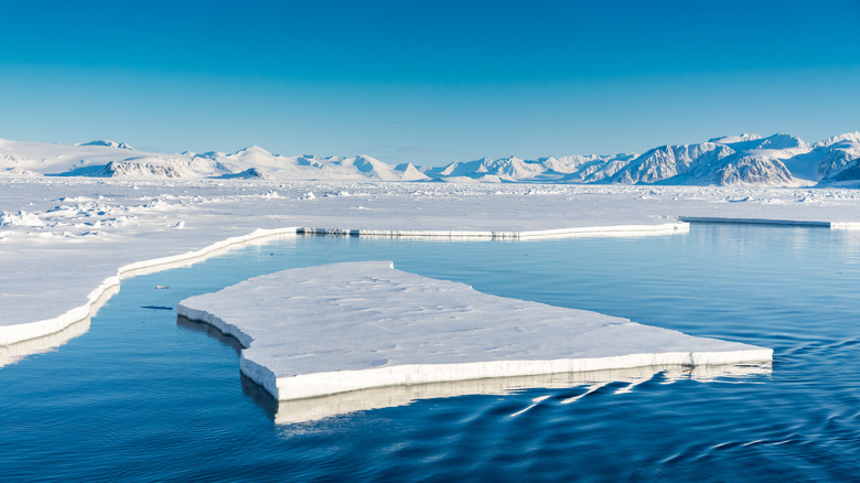 broken ice on water