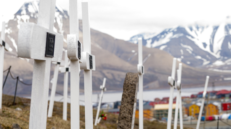 crosses in front of landscape