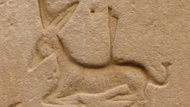 set animal egypt