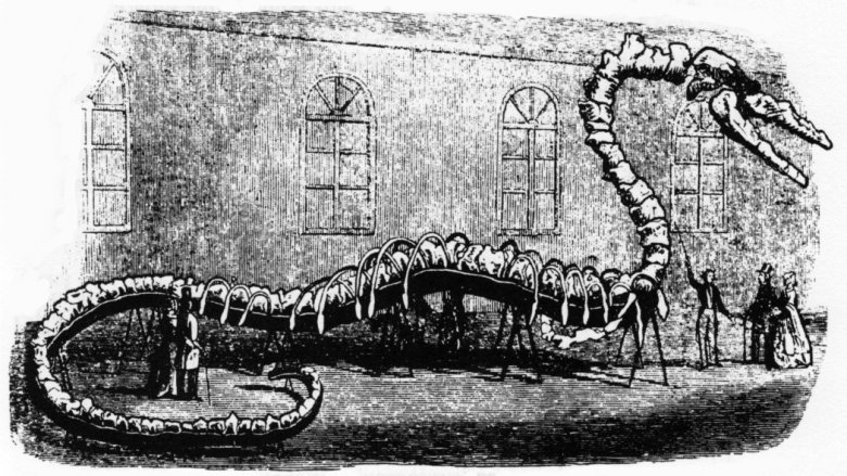 fake sea serpent