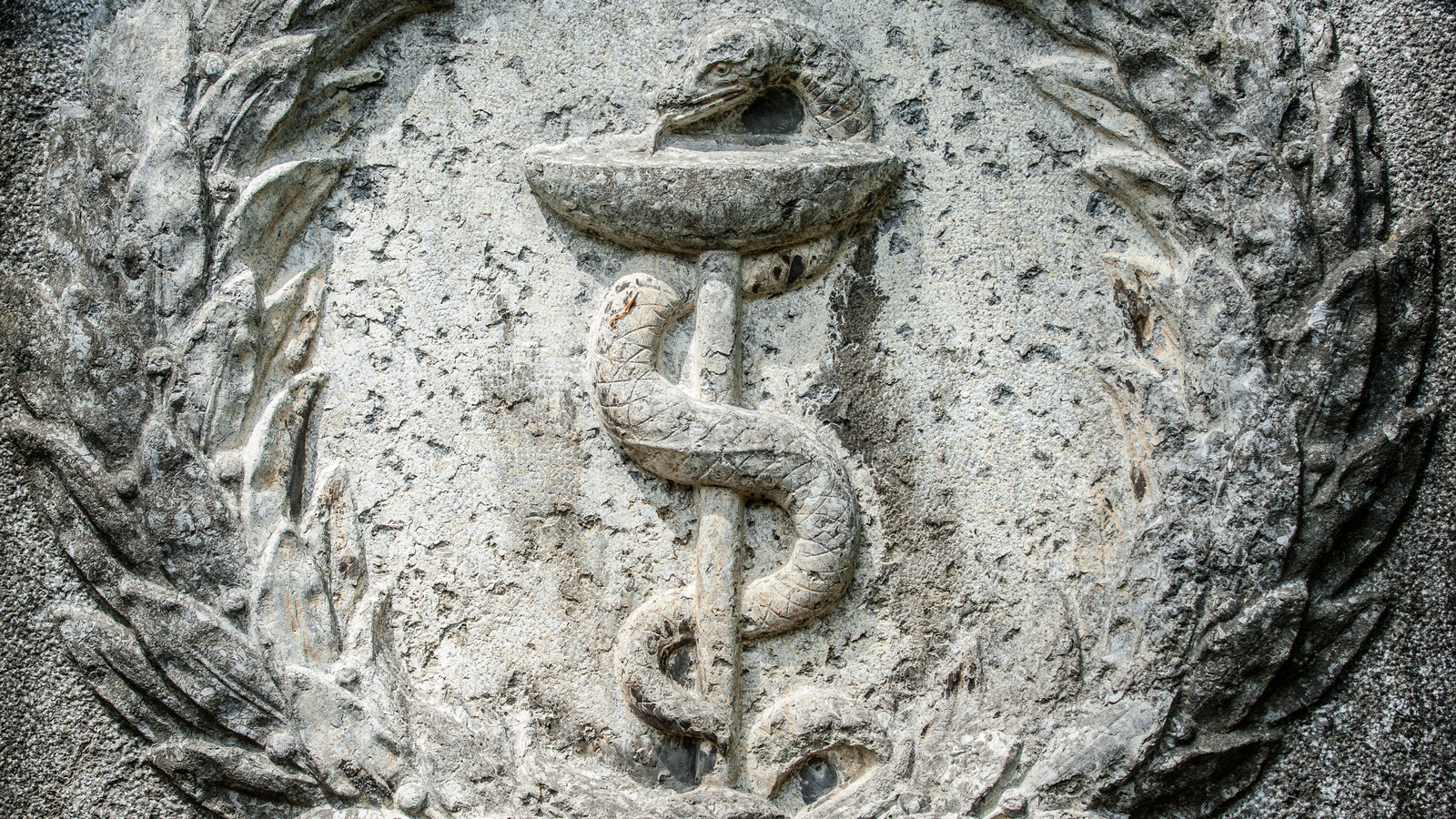 How A 4,400YearOld Shaman's Snake Staff Rewrites Finnish History