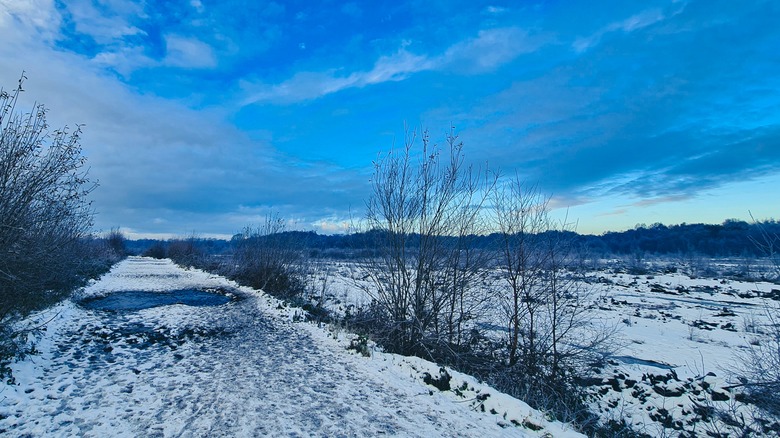 Lindow Moss snow