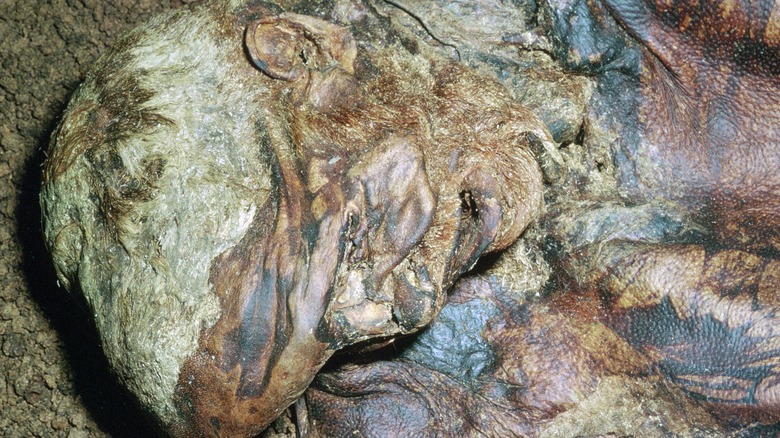 Lindow Man British Museum