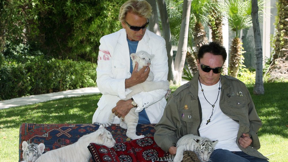 Siegfried and Roy, 2008