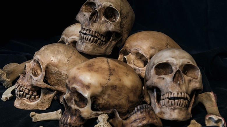 pile of human skulls