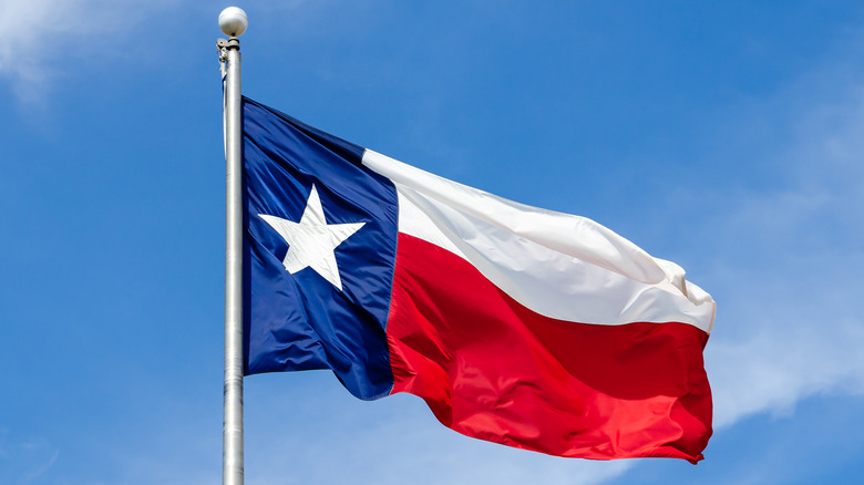 The Texas flag