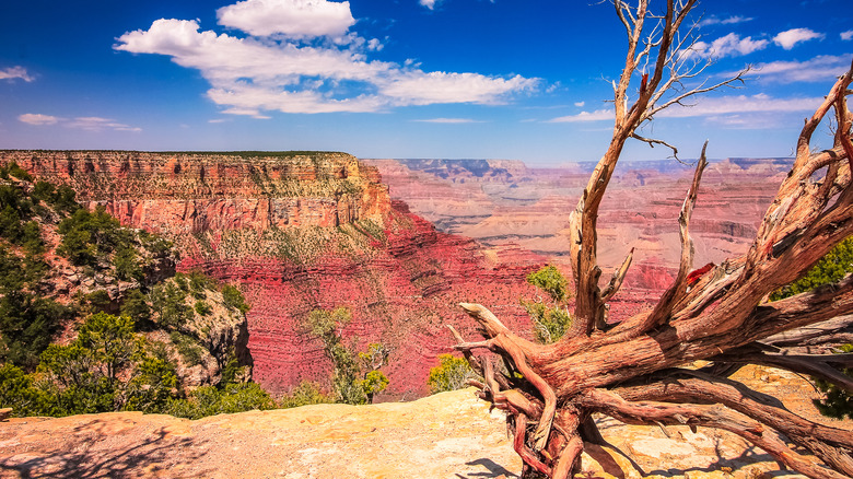 scenic view of Grand Canyon