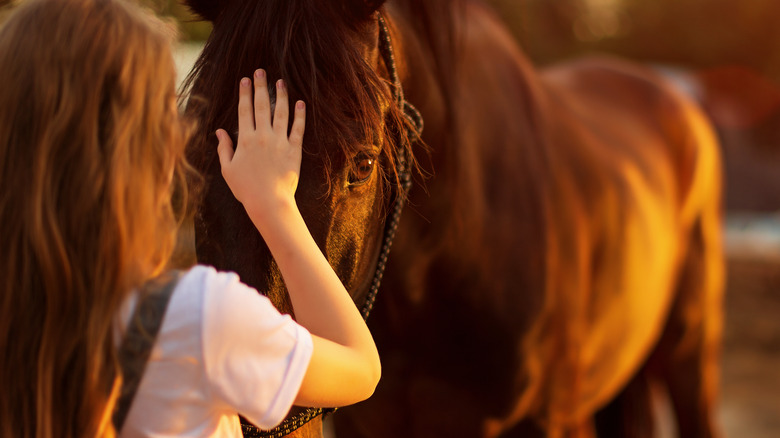 Girl and horse