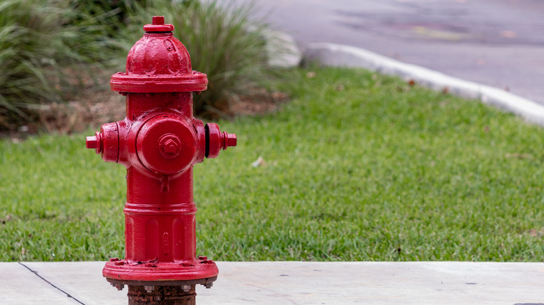 red fire hydrant on sidewalk