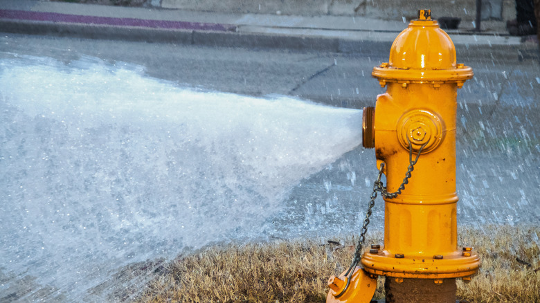 fire hydrant spewing water
