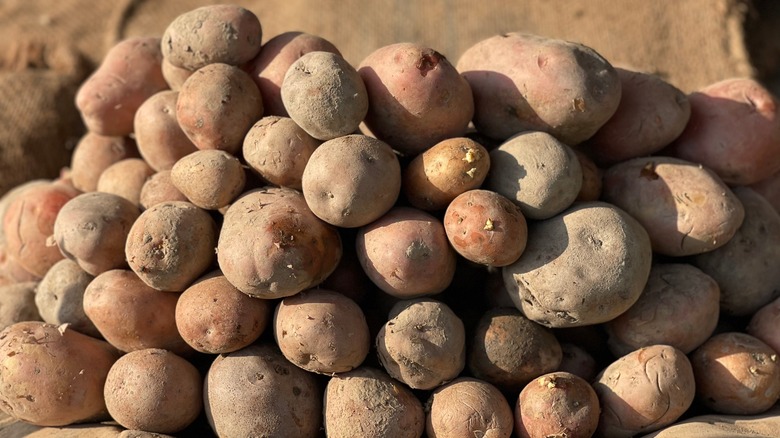 Stack of potatoes 