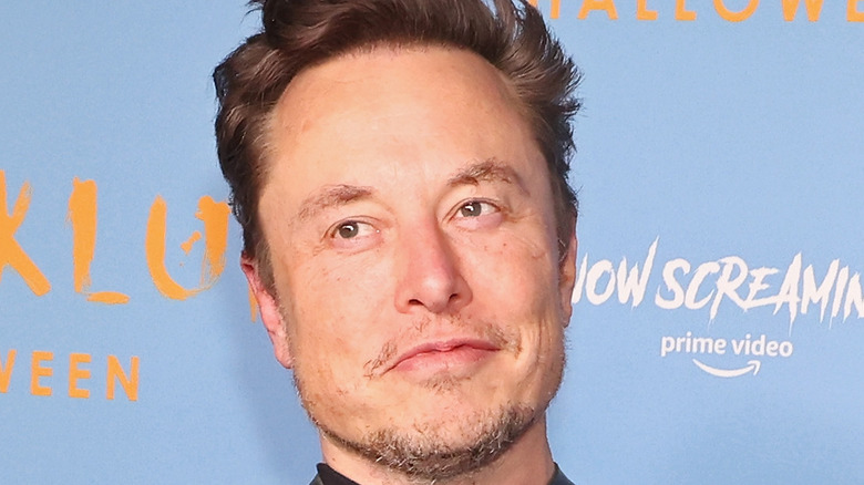 Elon Musk smirking