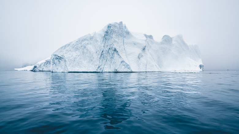 Iceberg
