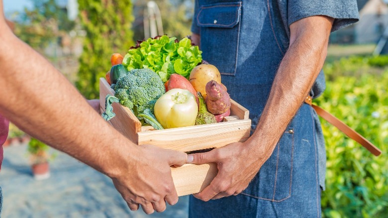 vegetables, market, food 