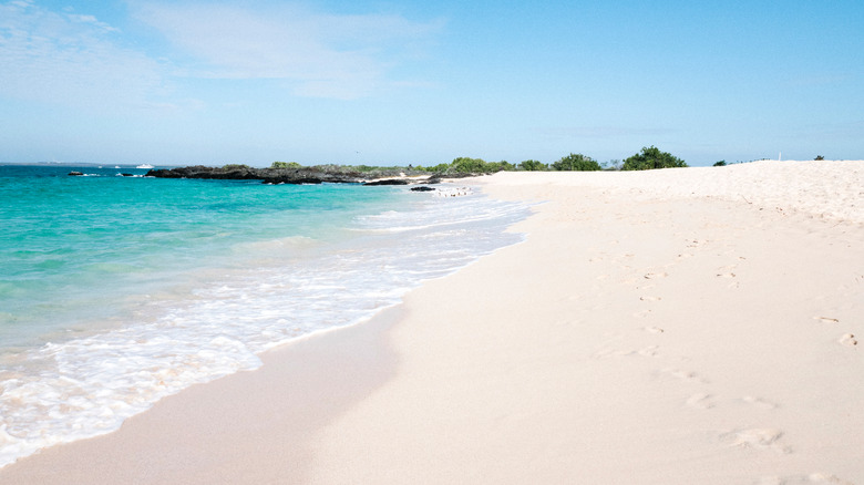 Galápagos Island beach