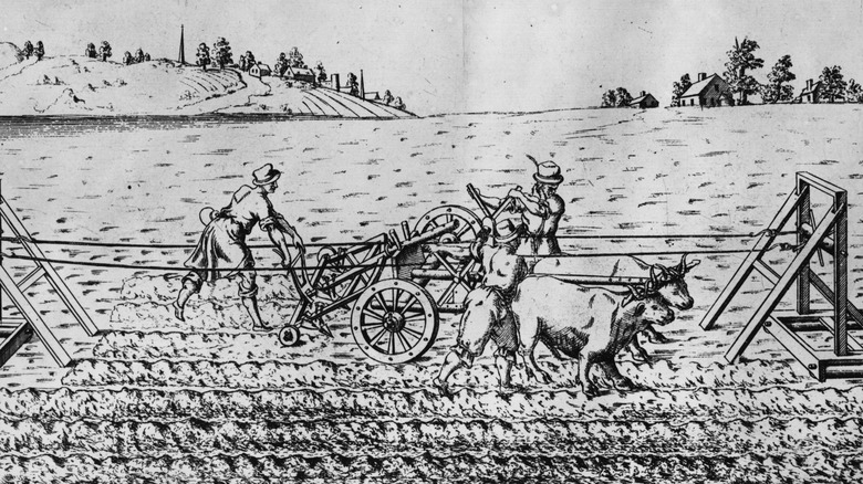 Farmers plowing