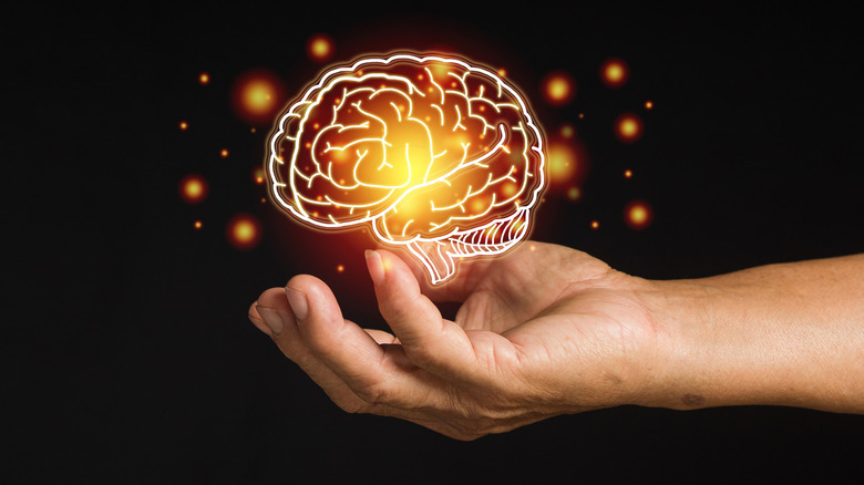 A hand holding a digital image of a human brain