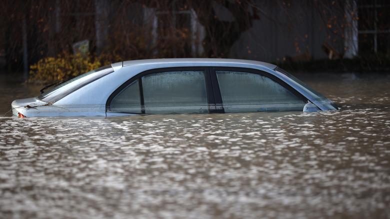 Submerged car