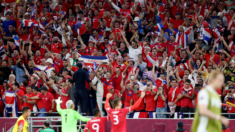 FIFA soccer fans in Qatar